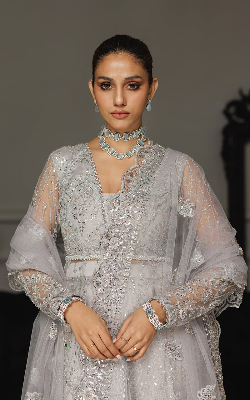 Threads and Motifs | Formal Dresses 25 | Net Embroidered Dress With Skirt And Dupatta - Official Threads and Motifs stockist in UK - Sakeena London