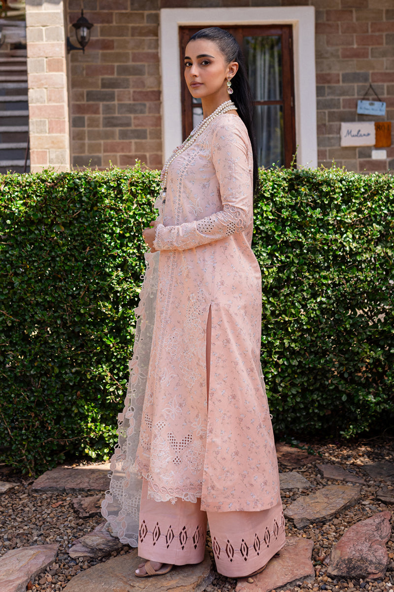 Qalamkar | Q Line Lawn 25 | QM-12 Miso - Official Qalamkar stockist in UK - Sakeena London