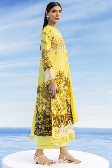 Parishay | Ivy Bloom 26 | IB-15