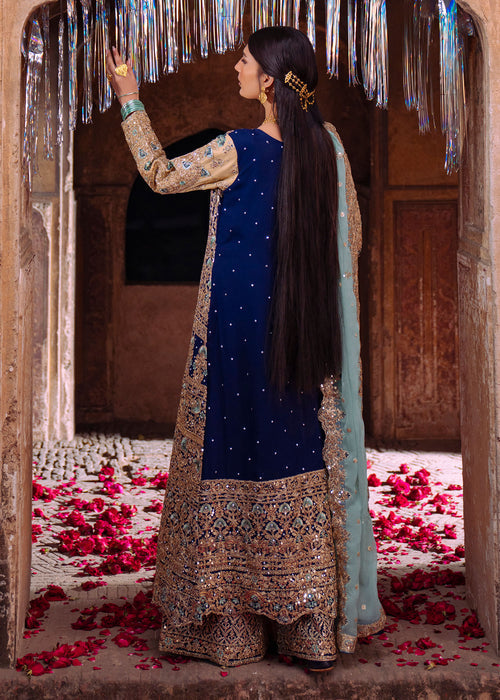Haseens | Darbar Formals | ShÄhnazr