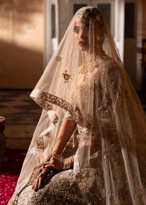 Haseens | Al Noor Formals | Afrooz