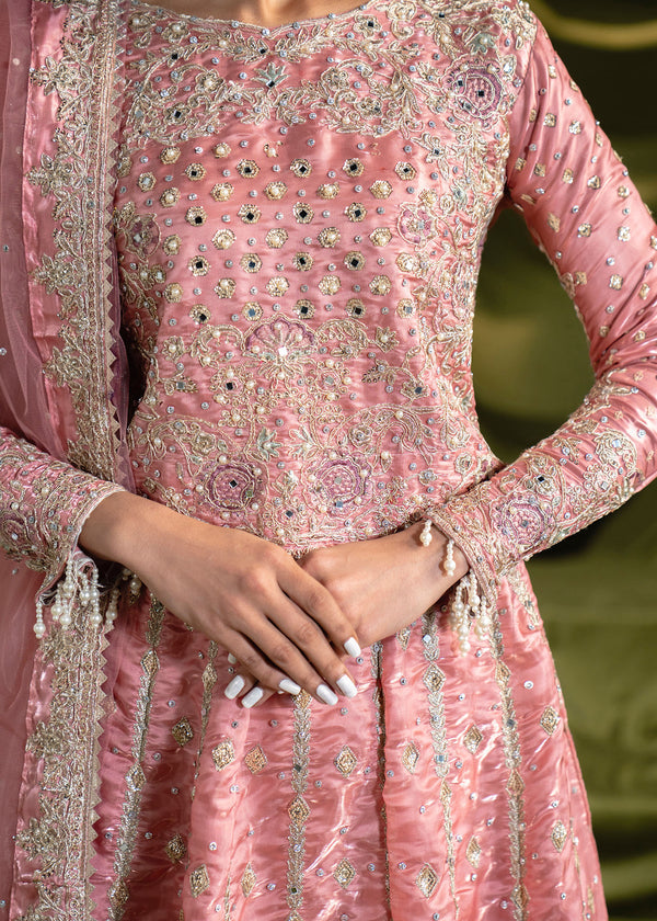 Haseens | Naira Formals | Rose