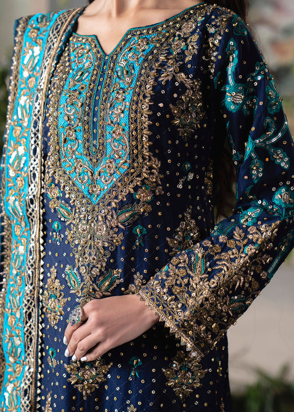 Haseens | Naira Formals | Mobina