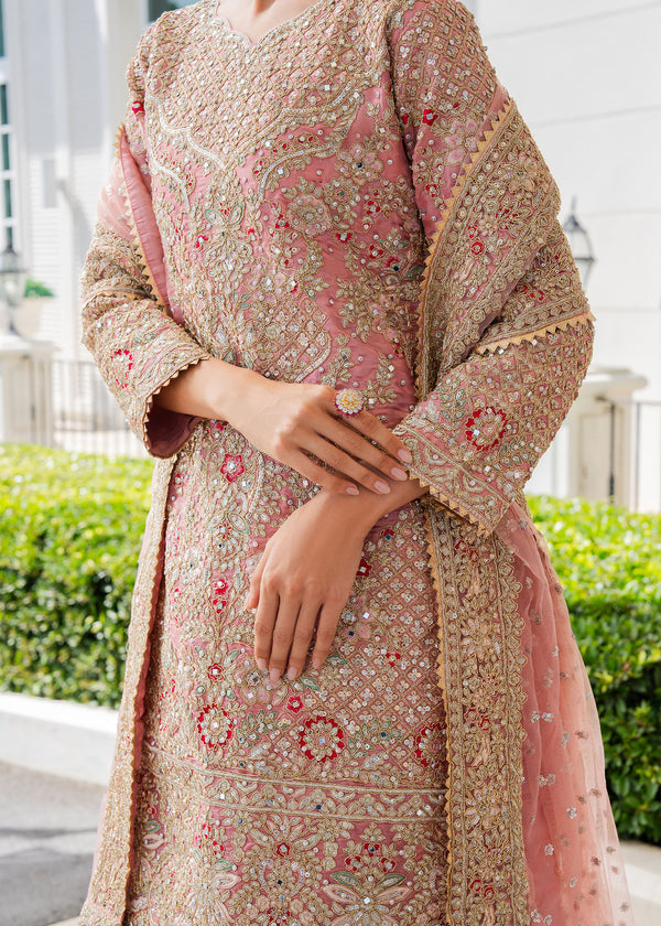 Haseens | Ayra Formals | Fadeela