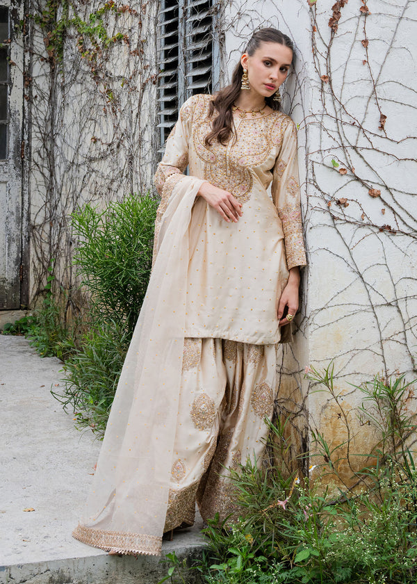 Haseens | Ayra Formals | Noorey