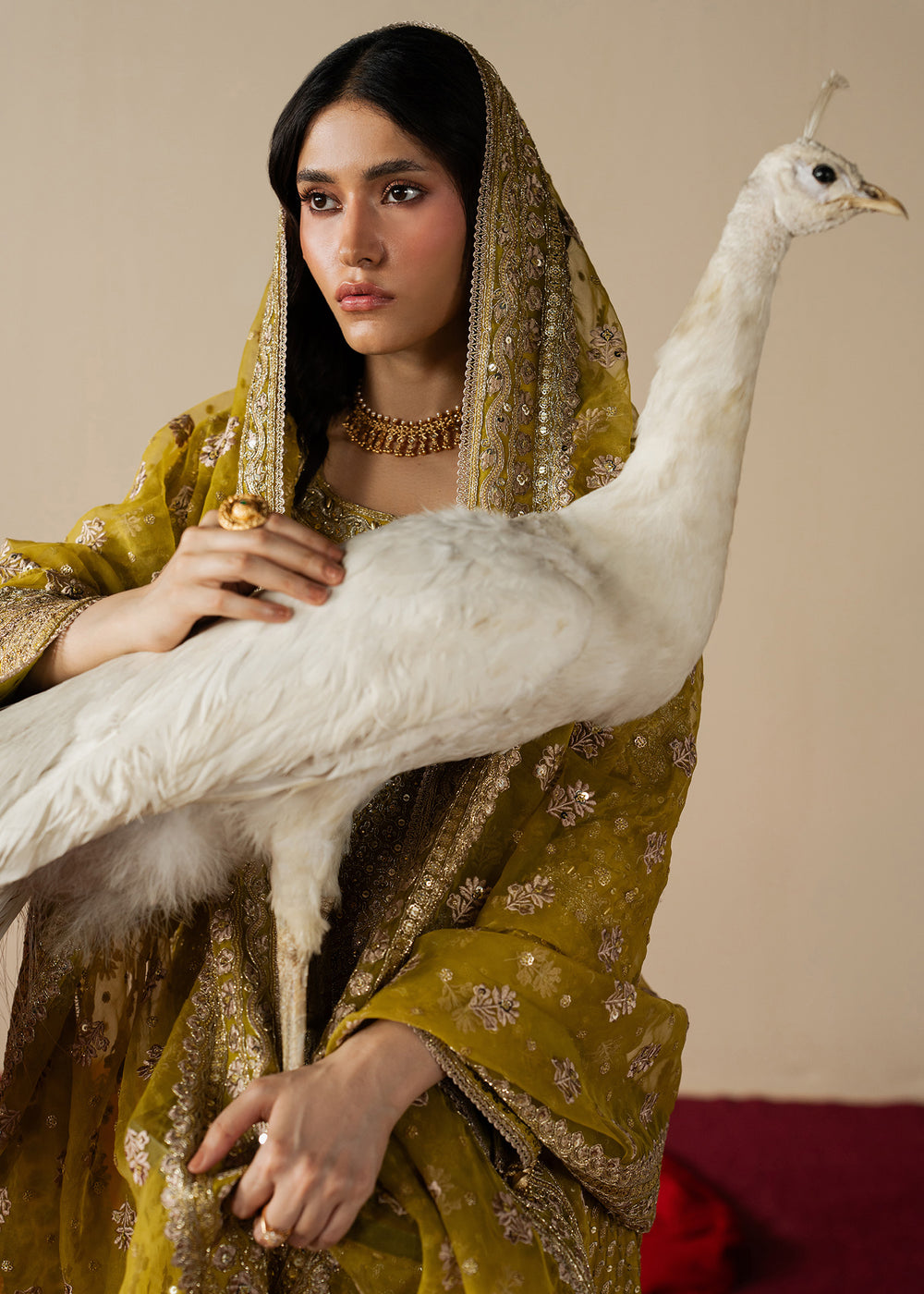Haseens | Gulal Formals | Zarqam