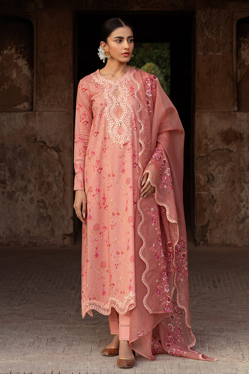 Cross Stitch | Premium Lawn 24 | APRICOT CHARM - Official Cross Stitch stockist in UK - Sakeena London