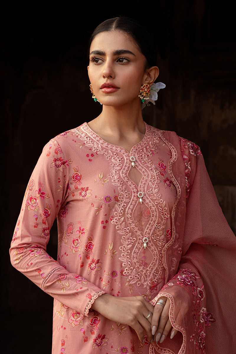 Cross Stitch | Premium Lawn 24 | APRICOT CHARM - Official Cross Stitch stockist in UK - Sakeena London