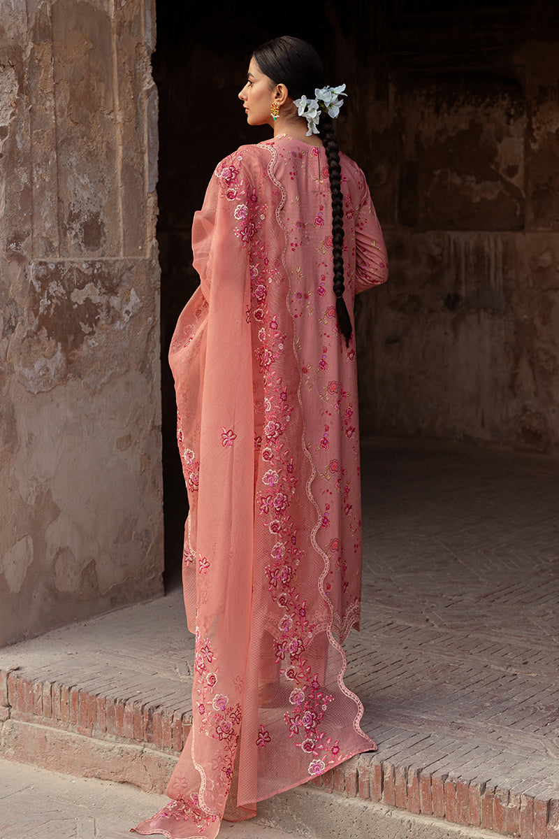 Cross Stitch | Premium Lawn 24 | APRICOT CHARM - Official Cross Stitch stockist in UK - Sakeena London