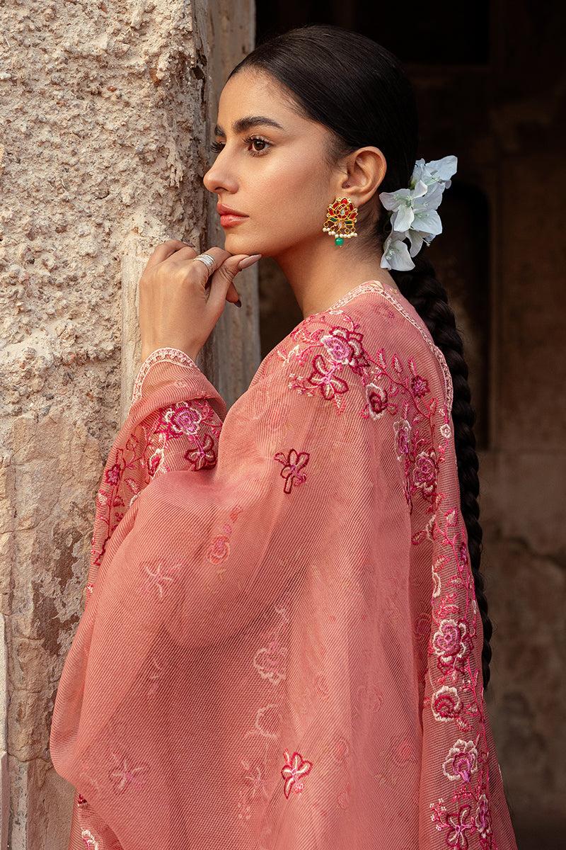 Cross Stitch | Premium Lawn 24 | APRICOT CHARM - Official Cross Stitch stockist in UK - Sakeena London