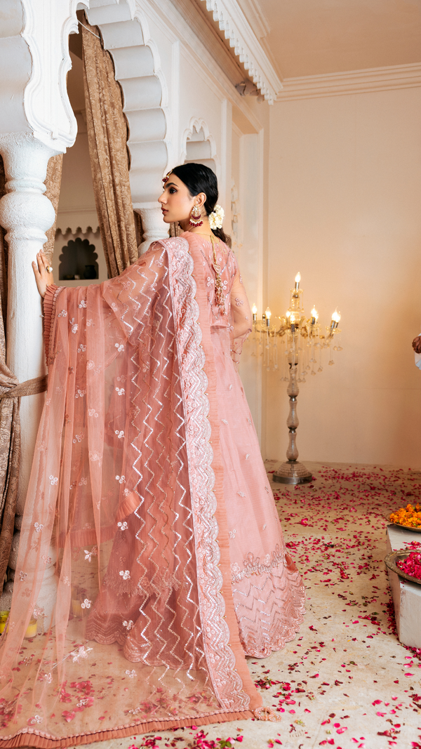 Zebtan | Zircon Wedding Formals | SHABNAM ZQ-07 - Official Zebtan stockist in UK - Sakeena London
