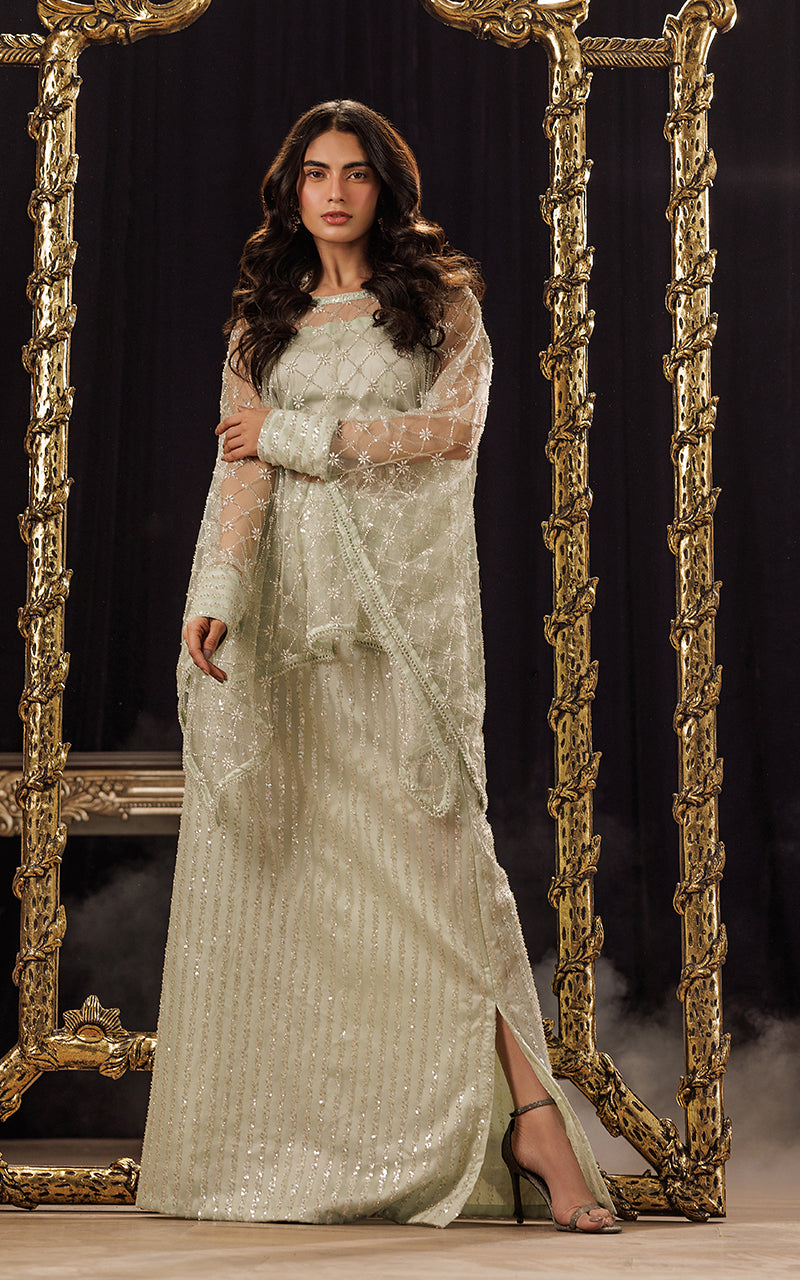 Threads and Motifs | Formal Dresses 25 | Net Embroidered Cape With Tube And Skirt - Official Threads and Motifs stockist in UK - Sakeena London