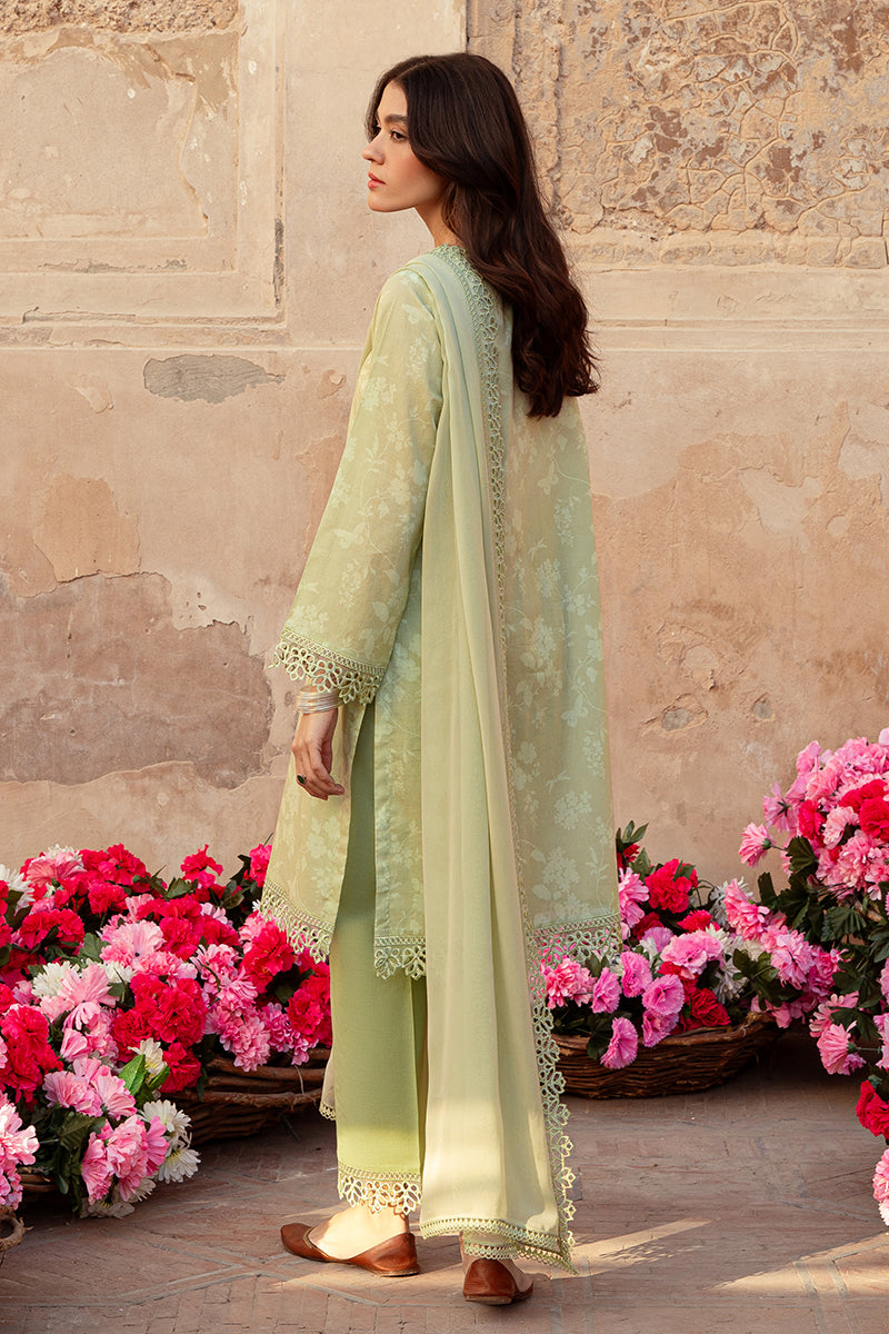 Cross Stitch | Premium Lawn 24 | MISTED GREEN - Official Cross Stitch stockist in UK - Sakeena London