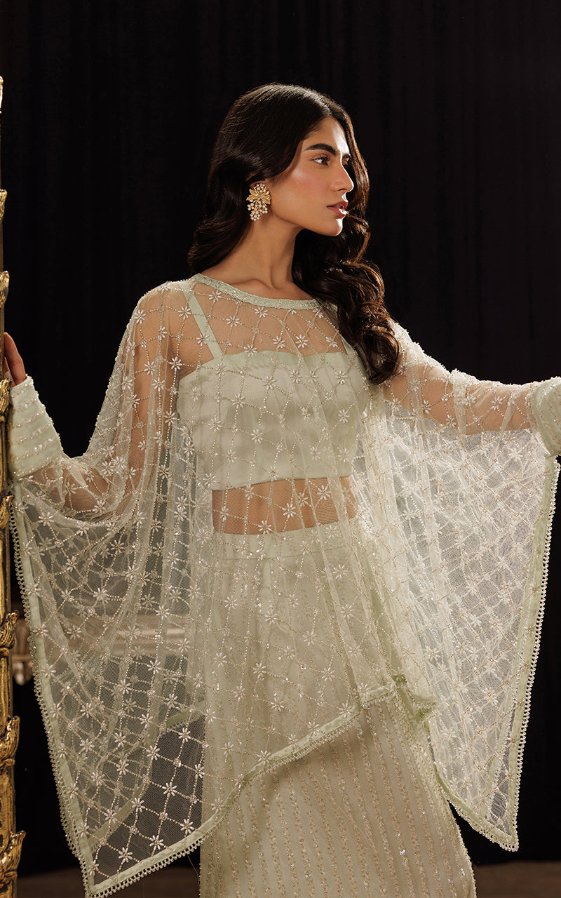 Threads and Motifs | Formal Dresses 25 | Net Embroidered Cape With Tube And Skirt - Official Threads and Motifs stockist in UK - Sakeena London