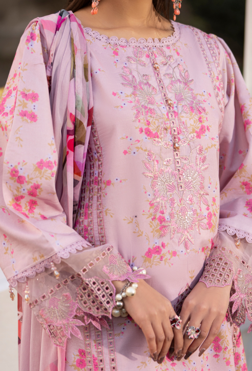 Humdum | Gardenia 26 | Gardenia'26 - D04