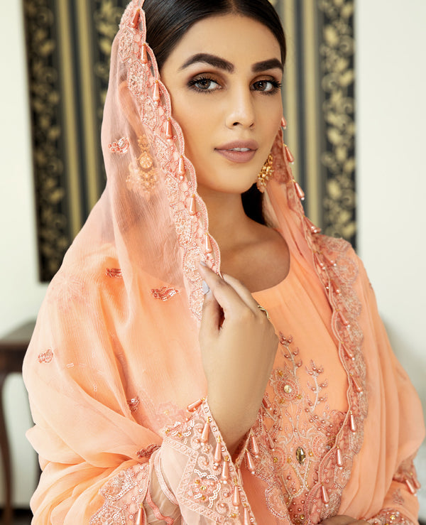 House of Nawab | Lawn Collection 24 | DANEEN - Official House of Nawab stockist in UK - Sakeena London