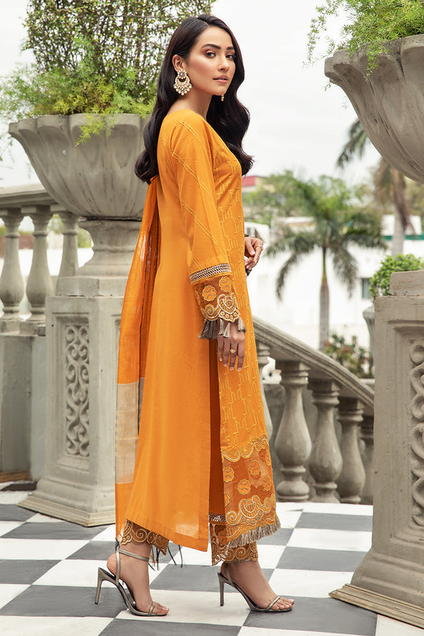 House of Nawab | Lawn Collection 24 | ZAVOSH - Official House of Nawab stockist in UK - Sakeena London