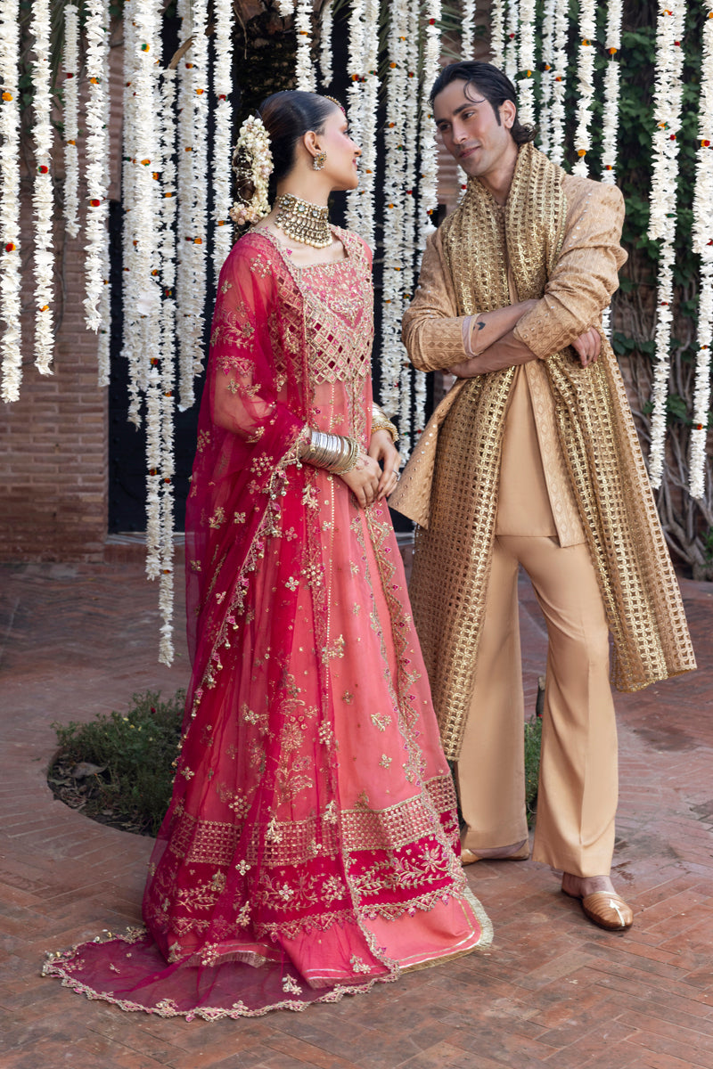 Rangrasiya | Wedding Formals 25 | Narmeen - Official Rangrasiya stockist in UK - Sakeena London