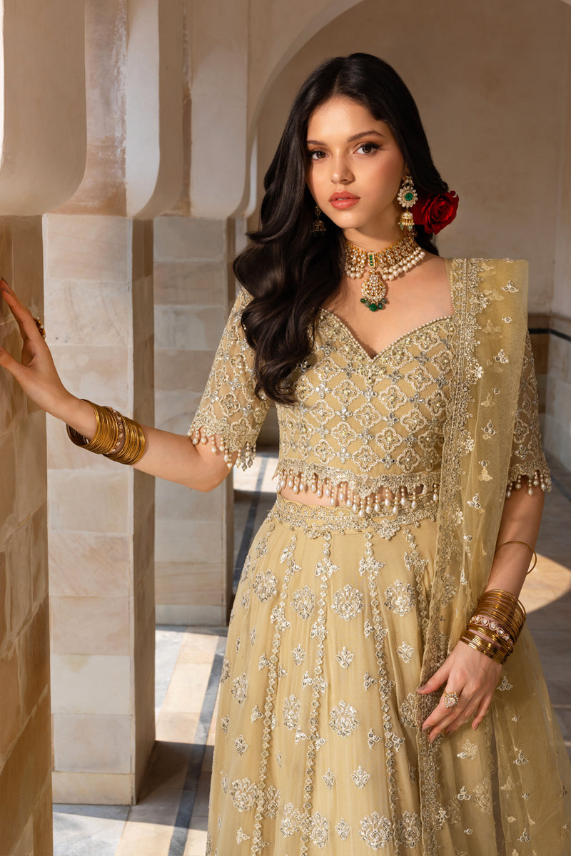 Rangrasiya | Chiffon Formals | Zaiena - Official Rangrasiya stockist in UK - Sakeena London