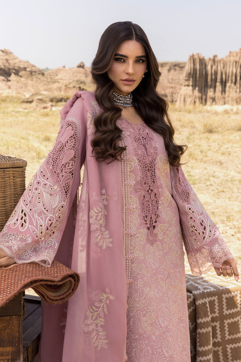 Rangrasiya | Premium Eid Edit 25 | Aysel - Official Rangrasiya stockist in UK - Sakeena London