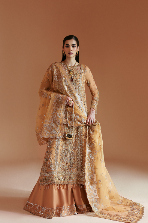 Emaan Adeel | Celestique Formals 25 | EMBER - Official Emaan Adeel stockist in UK - Sakeena London