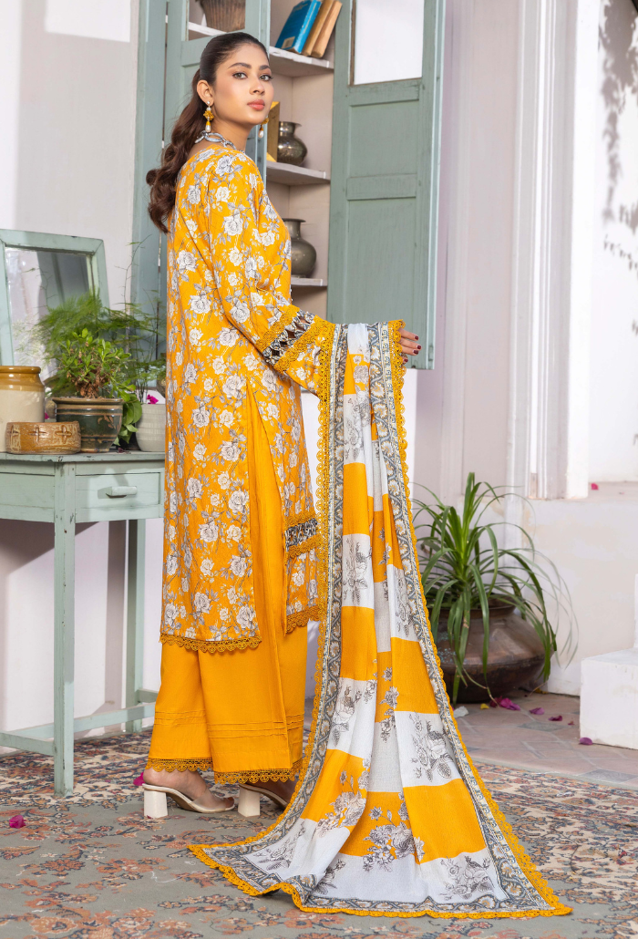 Humdum | Rang e Noor SS 24 | D04 - Official HumDum stockist in UK - Sakeena London