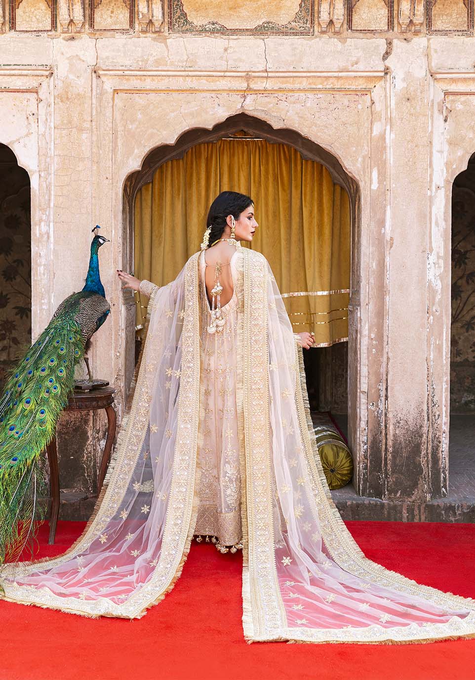 Zarqash | Arzoo Festive Collection | Naaz - Official Zarqash stockist in UK - Sakeena London