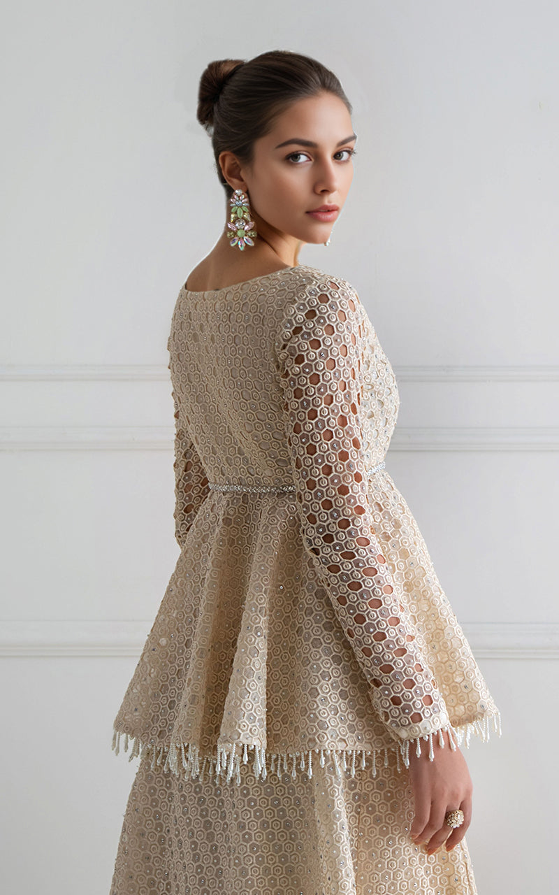 Threads and Motifs | Formal Dresses 25 | Organza Embroidered Peplum With Skirt - Official Threads and Motifs stockist in UK - Sakeena London