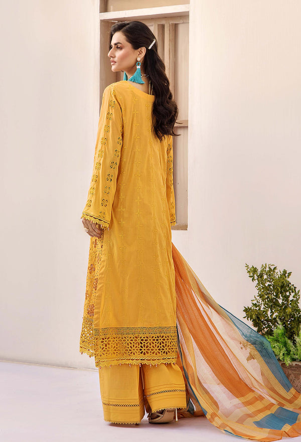 Adans Libas | Alora 25 | ALORA 6 - Official Adans Libas stockist in UK - Sakeena London