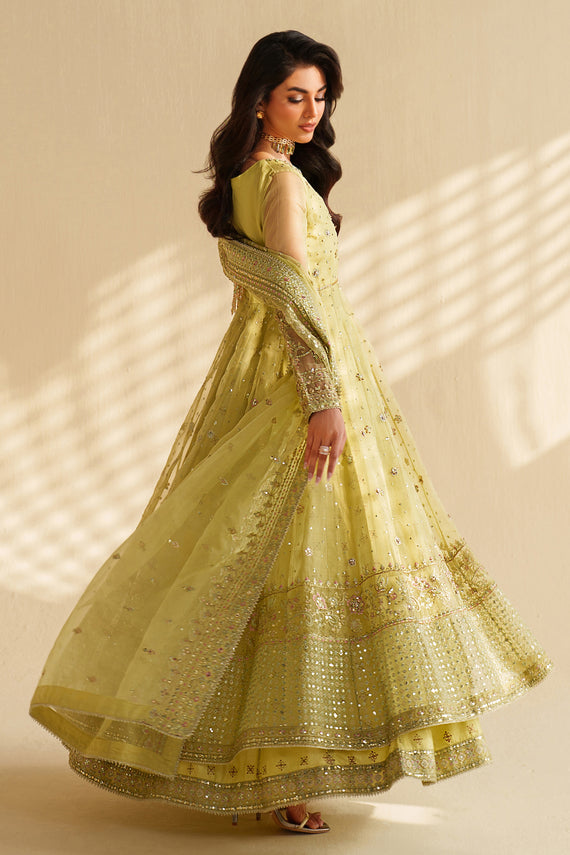 Naqshi | Feemora Organza Raw Silk | Zeesha - Official Naqshi stockist in UK - Sakeena London