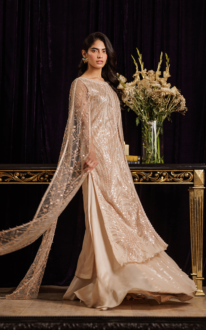 Threads and Motifs | Formal Dresses 25 | Net Embroidered Dress With Skirt - Official Threads and Motifs stockist in UK - Sakeena London