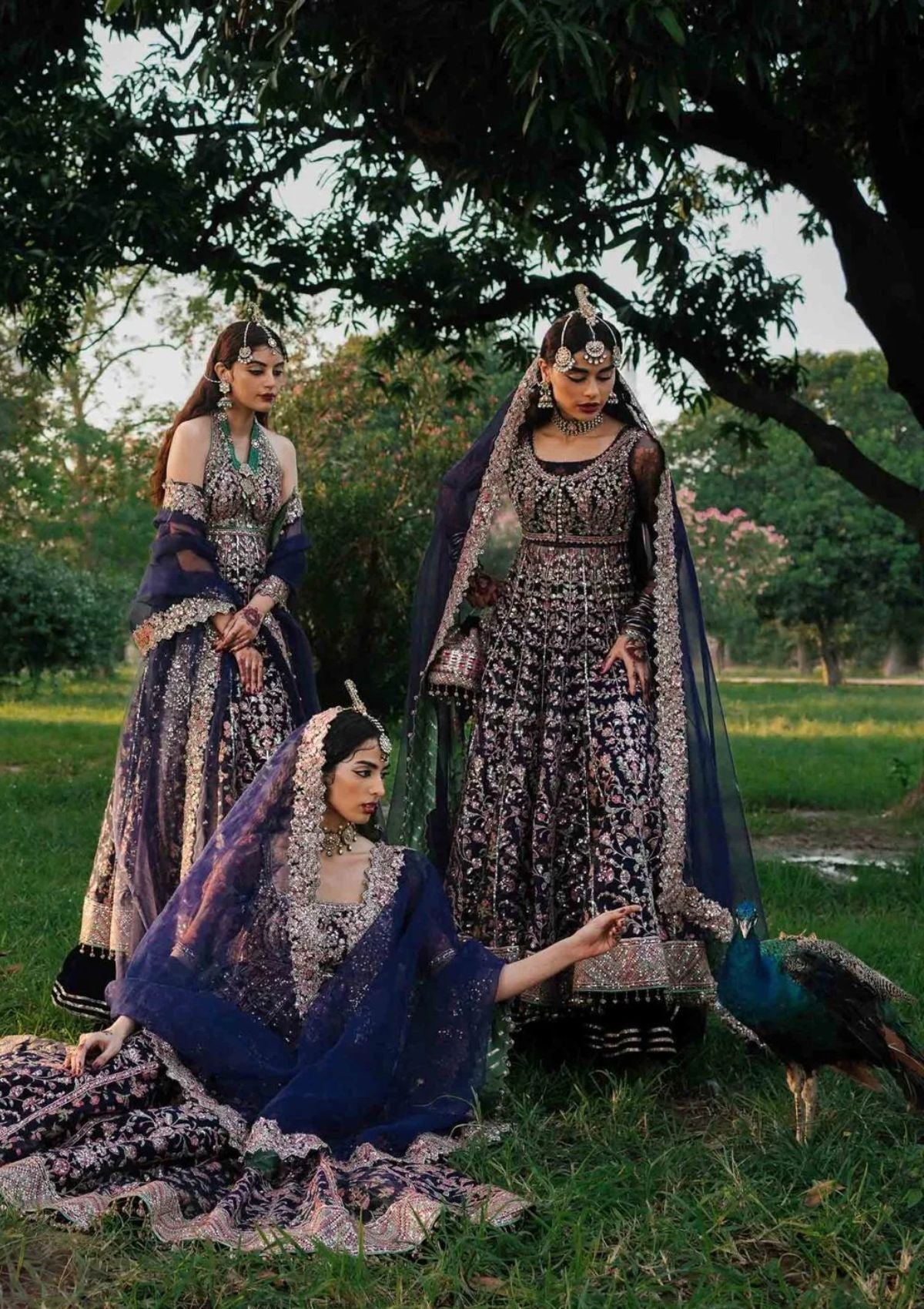 Formal Collection - Hussain Rehar - Zaib-un-nisa - Falak