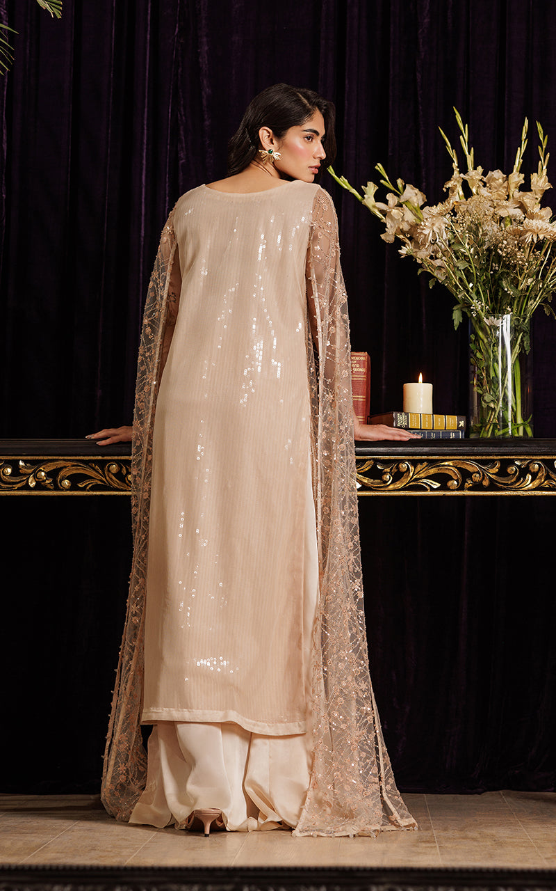 Threads and Motifs | Formal Dresses 25 | Net Embroidered Dress With Skirt - Official Threads and Motifs stockist in UK - Sakeena London