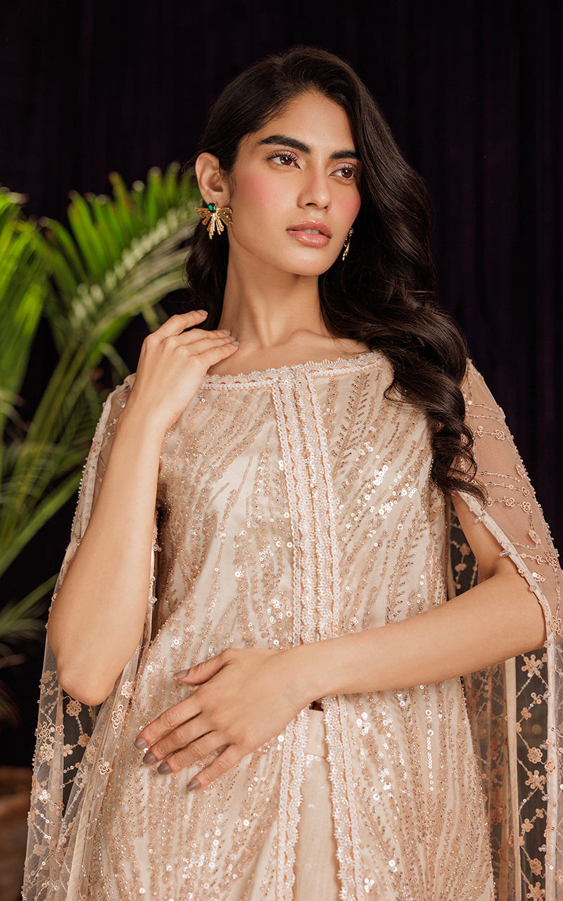 Threads and Motifs | Formal Dresses 25 | Net Embroidered Dress With Skirt - Official Threads and Motifs stockist in UK - Sakeena London