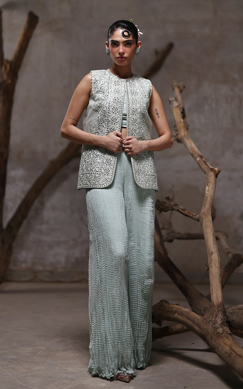Threads and Motifs | Formal Dresses 25 | Organza Embroidered Jacket With Crushed Trouser - Official Threads and Motifs stockist in UK - Sakeena London