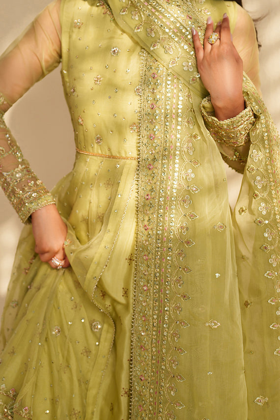 Naqshi | Feemora Organza Raw Silk | Zeesha - Official Naqshi stockist in UK - Sakeena London
