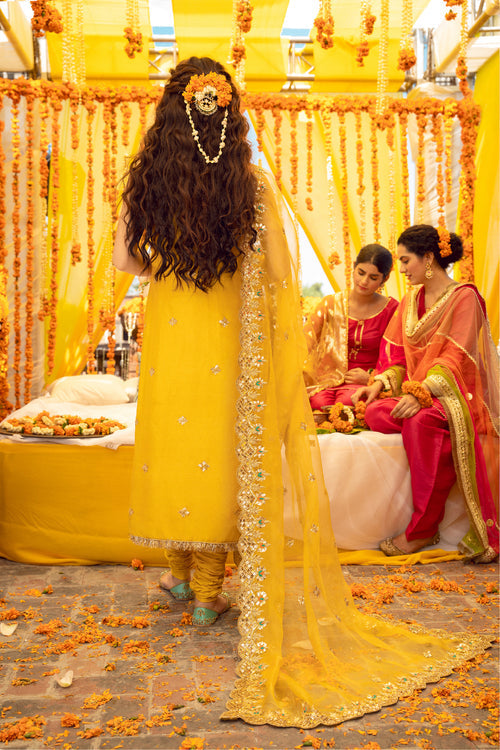 Maya | Wedding Formal Babul | BANDHNI - Official may stockist in UK - Sakeena London