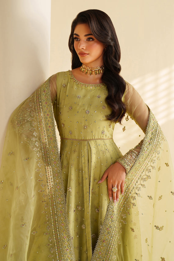Naqshi | Feemora Organza Raw Silk | Zeesha - Official Naqshi stockist in UK - Sakeena London