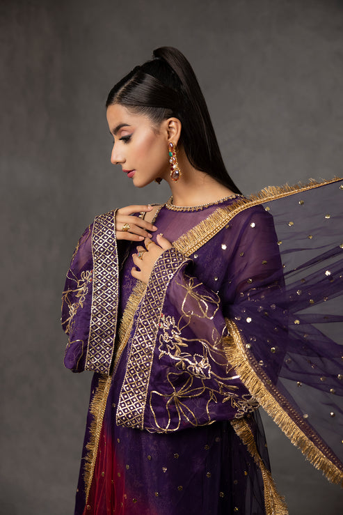 Amani | The Wedding Guest | CHANDNI - Official Amani stockist in UK - Sakeena London