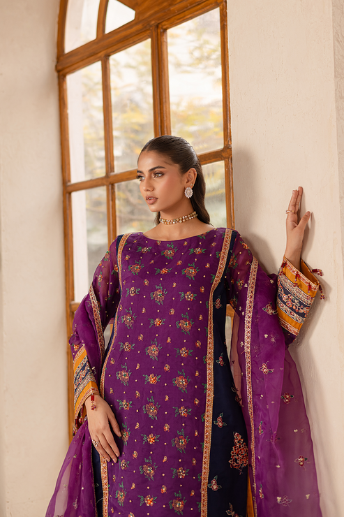 Emaan Adeel | Noore Festive Formals | NAYERA - Official Emaan Adeel stockist in UK - Sakeena London