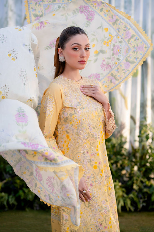 Aabyaan | Shezlin Chikankari Ramadan Edit 25 | NISA (AR-02) - Official Aabyaan stockist in UK - Sakeena London