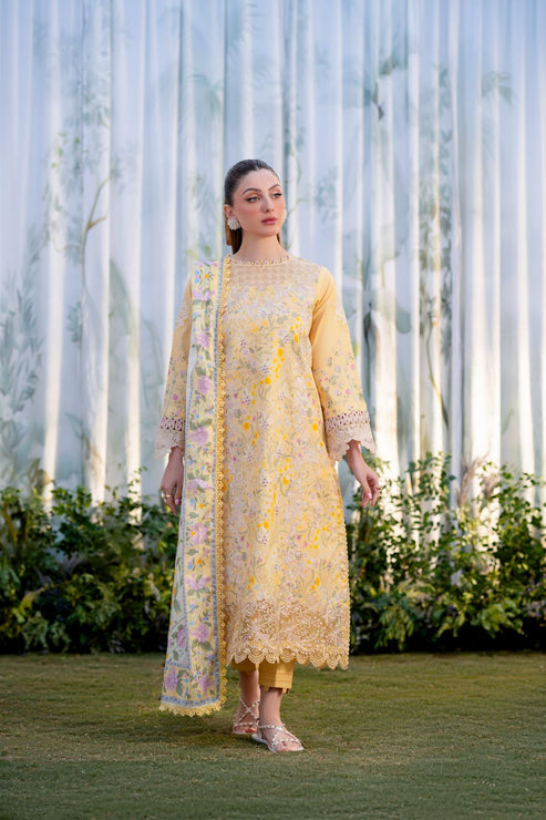 Aabyaan | Shezlin Chikankari Ramadan Edit 25 | NISA (AR-02) - Official Aabyaan stockist in UK - Sakeena London