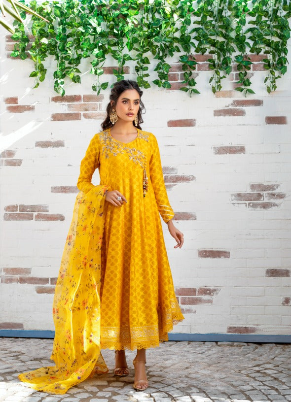 Anam Akhlaq | Festive Collection | D-12 - Official Anam Akhlaq stockist in UK - Sakeena London