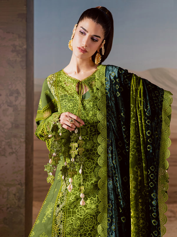 Mahnur | Amelia Luxury Winter 25 | CK-012 Kotrai - Official Mahnur stockist in UK - Sakeena London