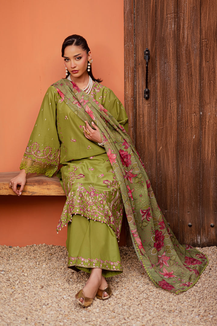 Batik | Winter 25 | Cray
