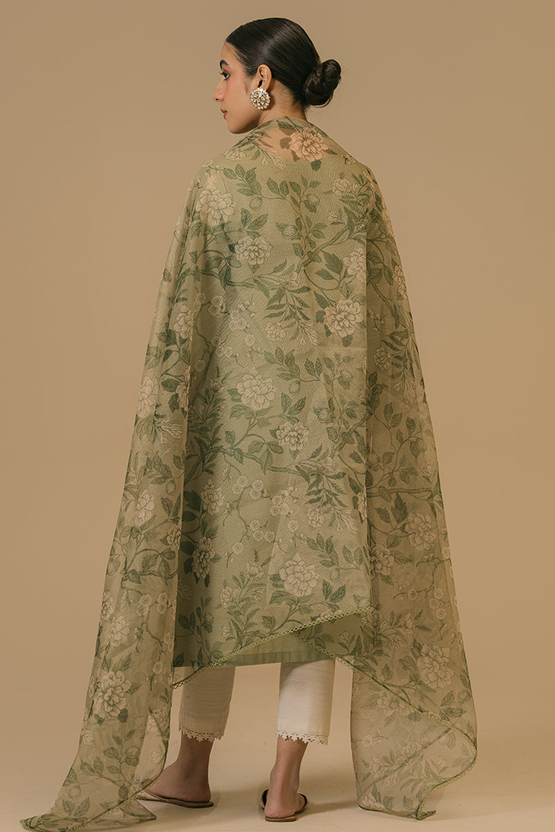 Cross Stitch | Eid Collection | OLIVE VISTA - Official Cross Stitch stockist in UK - Sakeena London