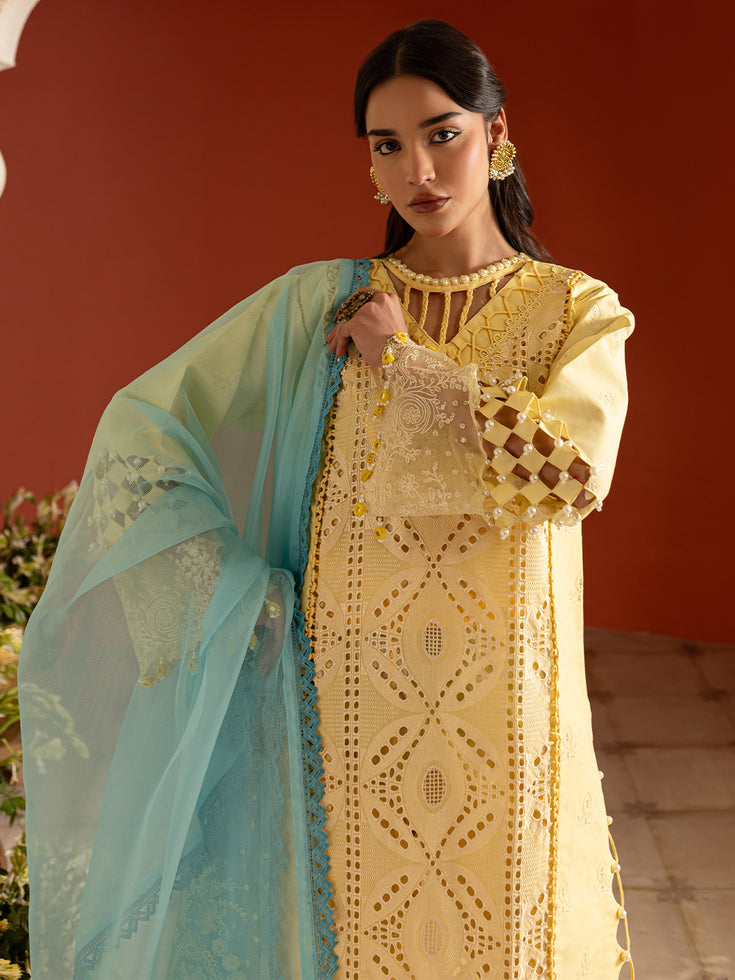 Parishay | Dastan e Noor Lawn | DSC-11 - Official Parishay stockist in UK - Sakeena London