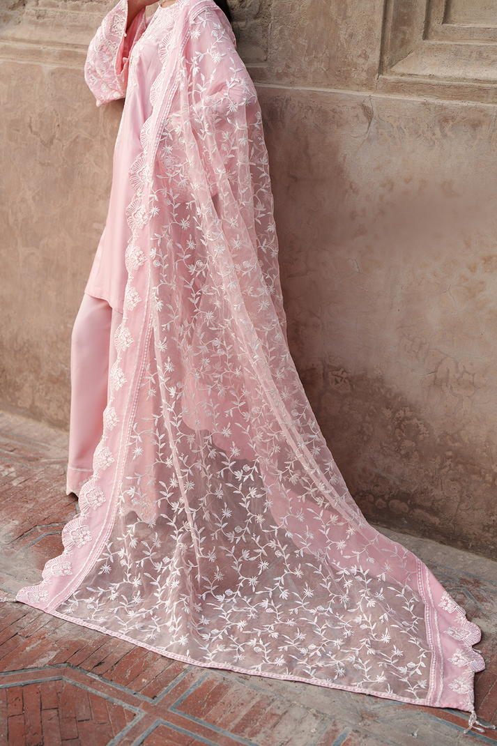 Saad Shaikh | Zaria Festive Pret 25 | BLUSH - Official Saad Shaikh stockist in UK - Sakeena London