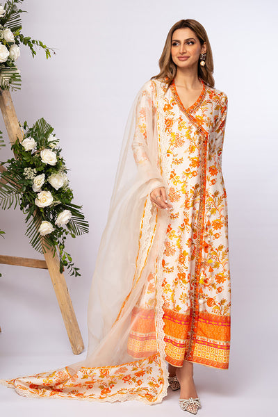 Amna Arshad | Zolu Collection 24 | Somaya - Official Amna Arshad stockist in UK - Sakeena London