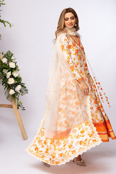 Amna Arshad | Zolu Collection 24 | Somaya - Official Amna Arshad stockist in UK - Sakeena London